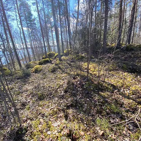 Lammassaari *