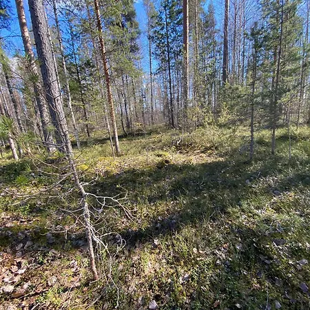 Lammassaari *