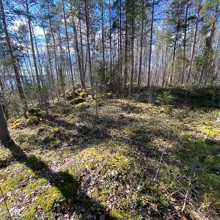 Lammassaari Nyslott