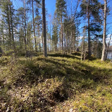 Lammassaari *