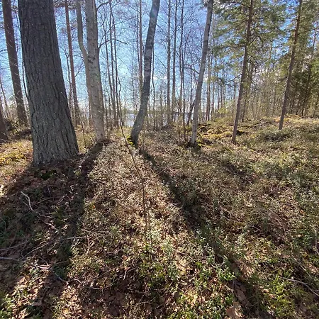 Lammassaari * Nyslott
