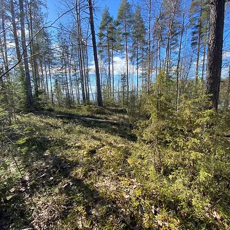 Lyxtält Lammassaari *