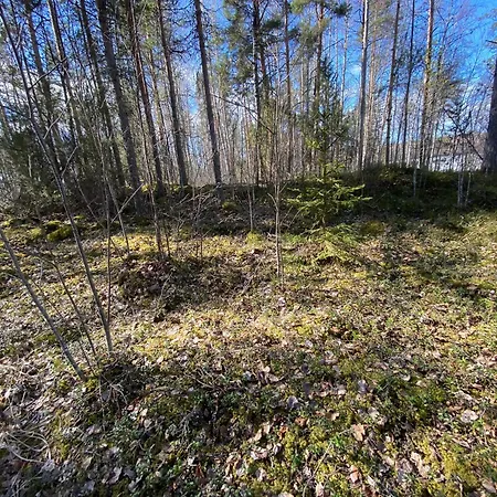 Lammassaari