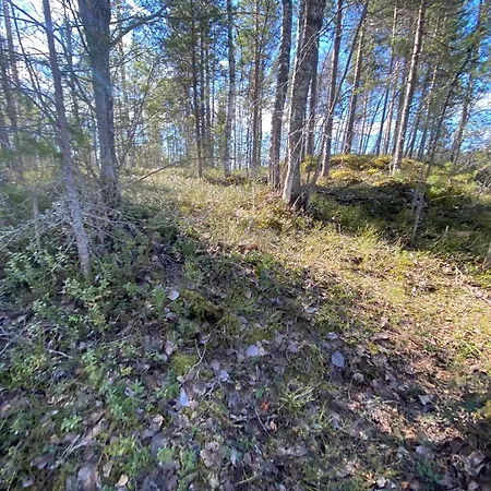 Lammassaari