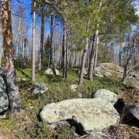 Lammassaari