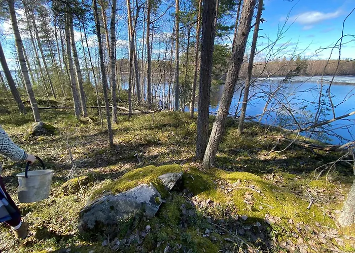 Lammassaari 사본린나