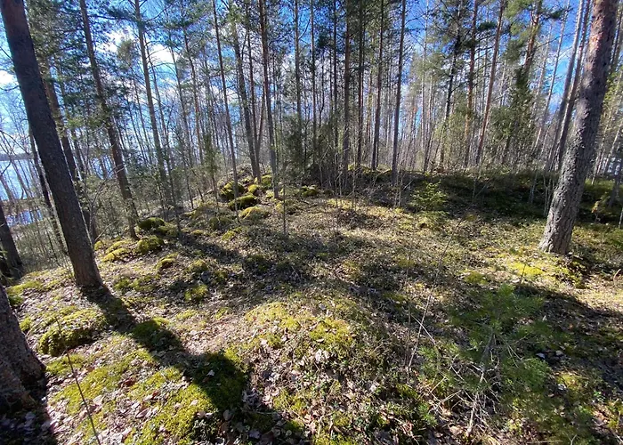 Lammassaari 사본린나