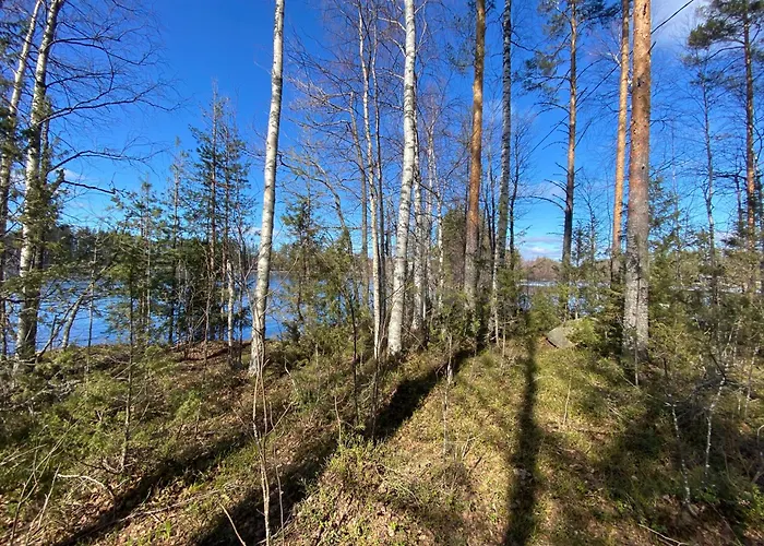 Lammassaari 럭셔리텐트 사본린나