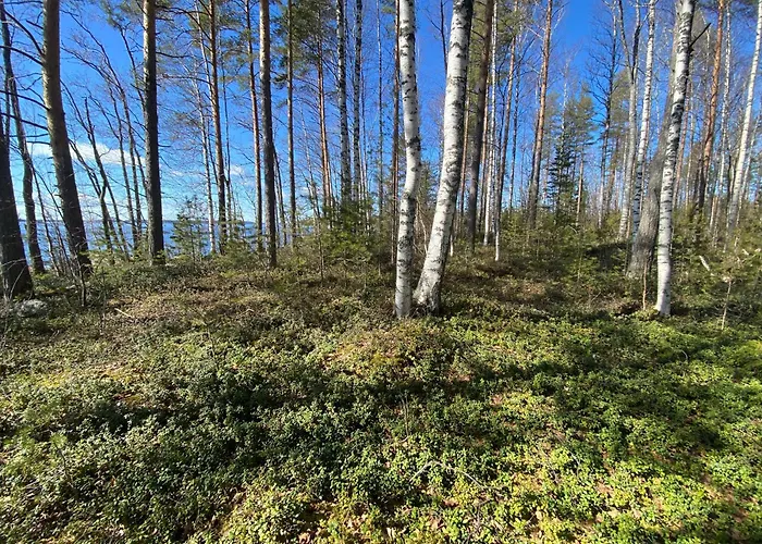 럭셔리텐트 Lammassaari