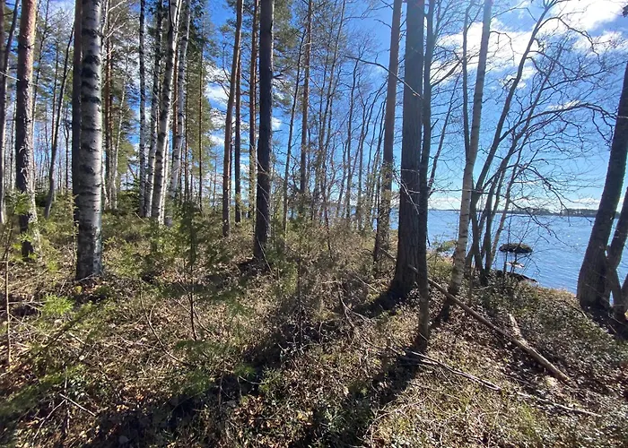 Lammassaari 럭셔리텐트 *