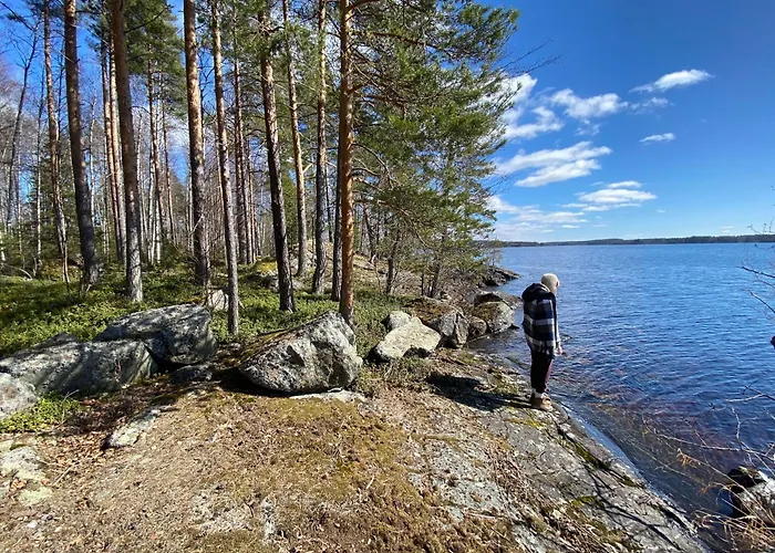 Lammassaari 사본린나