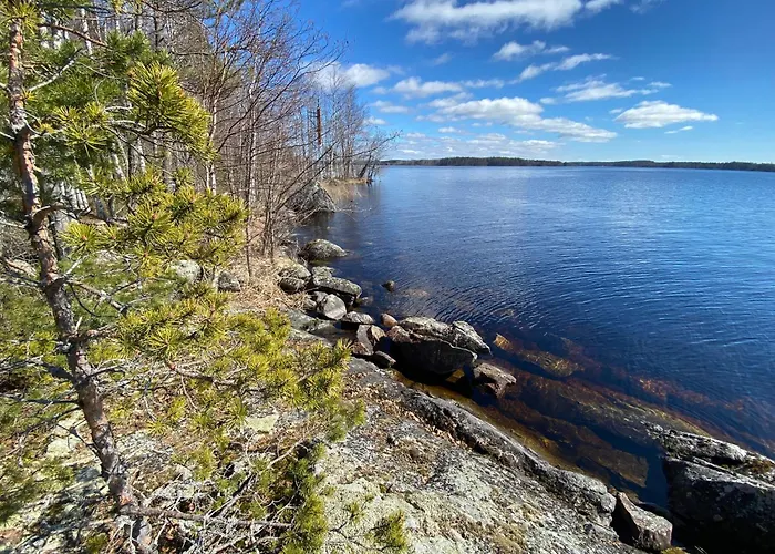 Lammassaari 사본린나