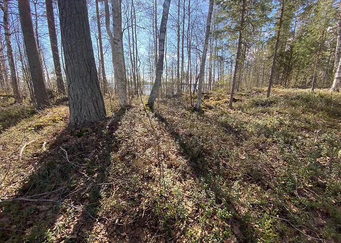 Lammassaari * 사본린나