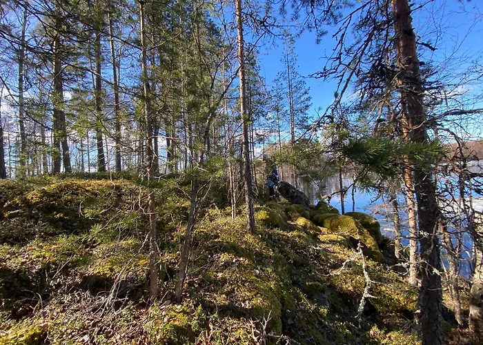 Lammassaari 럭셔리텐트 *