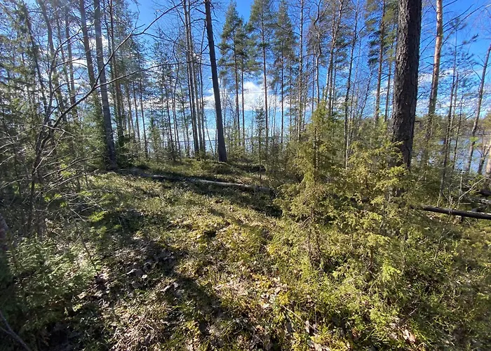 럭셔리텐트 Lammassaari *